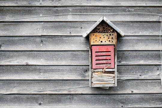 Insect hotel or bee house. Tall little wood house mounted on wood wall outside. Attracts super pollinators and mason bees, leaf-cutter bees, and lacewings.  Selective focus.