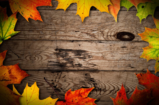 Colorful Autumn Leaves on Rustic Wooden Background with Copy Space