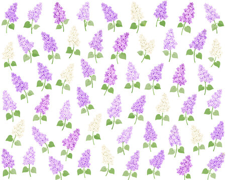 Lilac Illustration Pattern