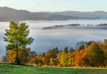 Jesienny poranek w górach, mgła w dolinie o wschodzie słońca. Laliki. Beskidy. Polska © mycatherina