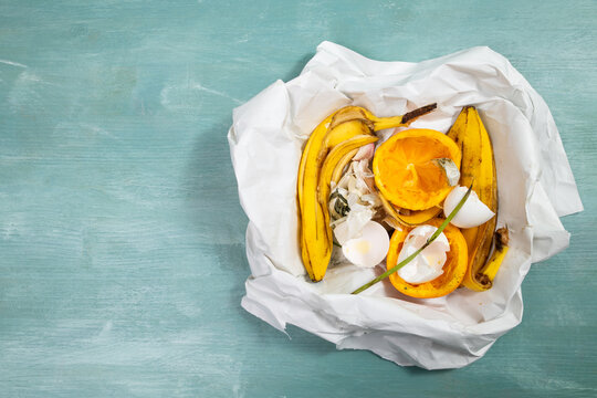 Organic food waste, compost of scraps and peelings of fruits, eggshells and vegetables, zero garbage, garlic, banana, orange fruit leftovers, recycling and envirionment concept