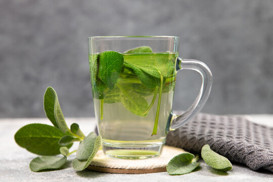 Sage tea hot drink in a glass, fresh green sage leaves, Salvia officinalis, anti inflammatory and antiseptic properties, scratchy throat inflammation, herbal, holistic medicine