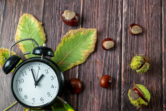 Alarm Clock with Horse Chestnuts and Autumn Leaves