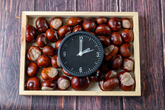 Clock Surrounded by Horse Chestnuts in Wooden Box