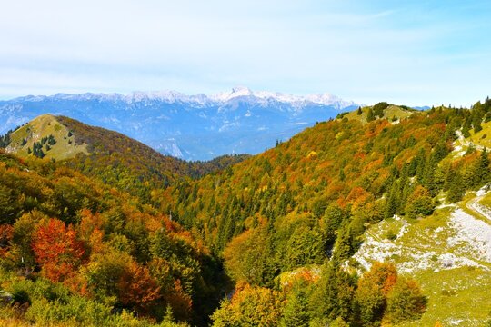 Forest covered valley in autumn colores with Triglav mountain in Julian alps, Gorenjska, Slovenia