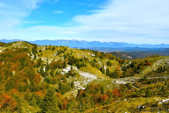 View of Možic hill with meadows and trees in Julian alps and Karavanke mountains in the distance in Gorenjska, Slovenia