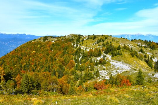 Meadows and autumn colored forest covered slopes bellow Možic hills in Julian alps, Gorenjska, Slovenia