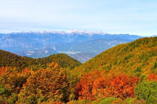 View of Triglav mountain in Julian alps, Gorenjska, Slovenia with red and orange autumn colored trees