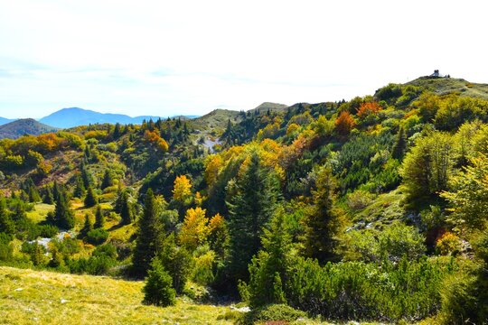 Yellow and green autumn colored trees bellow Možic hill in Gorenjska, Slovenia