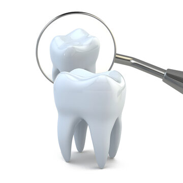 3d tooth