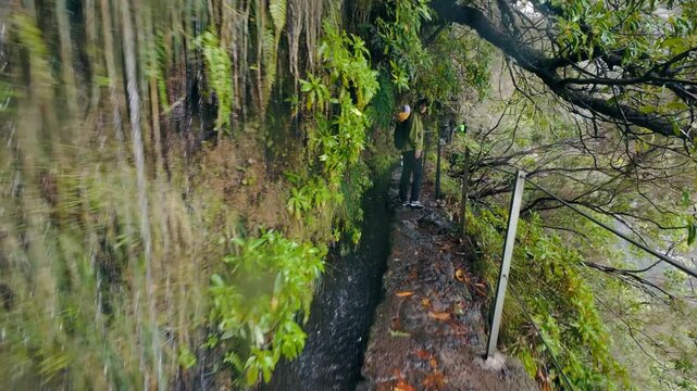 Group of tourists hiking narrow cliffside levada trail on Madeira, Portugal. Forest trekking beside flowing water and moss-covered rock walls during active holiday