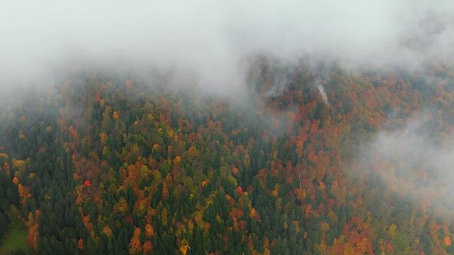 Gorgeous colourful autumn in the mountains. Pieniny, Poland