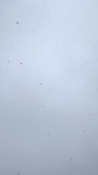 Real snow falls on the camera. Grey winter sky with gentle snowfall. 