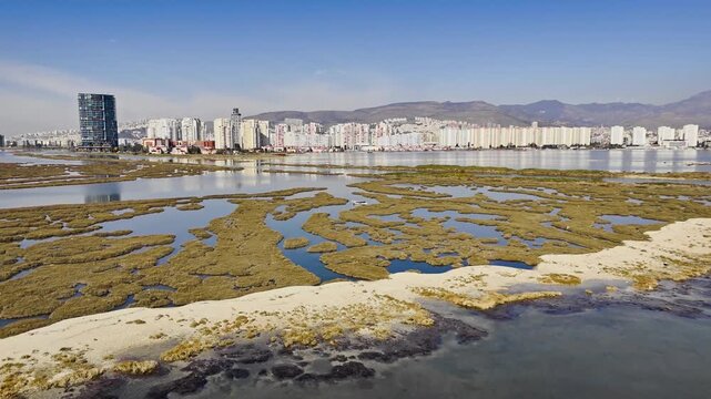 Salt marsh and shallow coastal lagoon in Izmir Bay, Turkey. Aerial view of wetland vegetation with city skyline in background