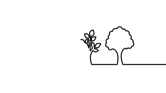 Plant growth stages one line art editable stroke vector illustration. Depicting plant growth stages one line art with editable stroke. Clean vector illustration showing a botanical design.