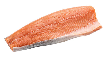 Raw skin-on salmon fillet displayed against black, highlighting its vivid orange flesh and texture © Ophelia
