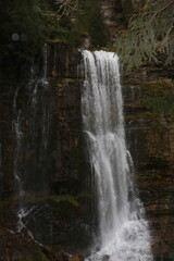 A beautiful waterfall flowing over natural rocks in a lush green forest, surrounded by trees and vegetation. Peaceful nature scenery and a refreshing woodland landscape. © Iryna