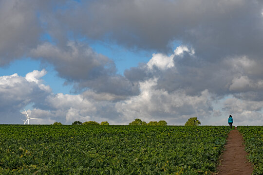 Autumnal Sprotbrough cloudscape, in October, 2026.