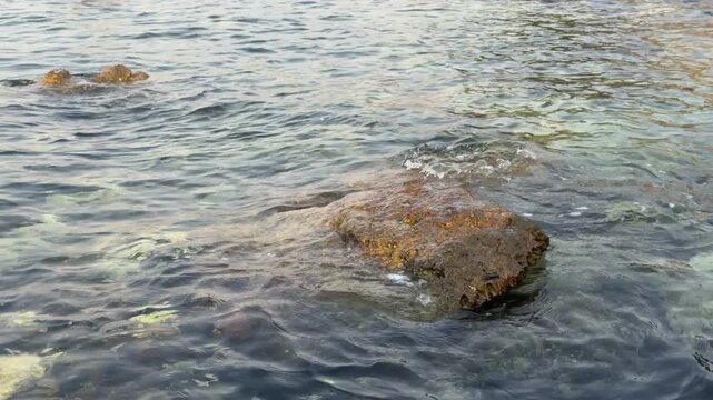 Static close-up shot of gentle waves washing over a rock in turquoise Adriatic waters near Dubrovnik, Croatia, with a small crab crawling across its surface at golden hour. Original unedited 4K clip.