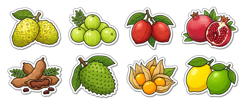 Sticker set of 8 medicinal fruits noni amla mahkota dewa pomegranate tamarind soursop physalis and lemon isolated on white background for health and wellness design.