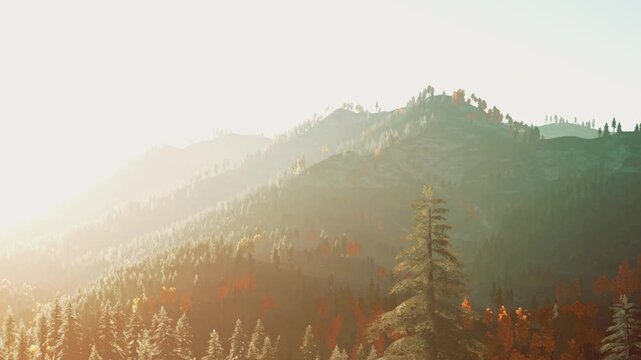 Sunlight filters through trees in a forest during fall. The hills show colors of changing leaves. It is early in the day with a clear sky. The scene captures the beauty of nature.
