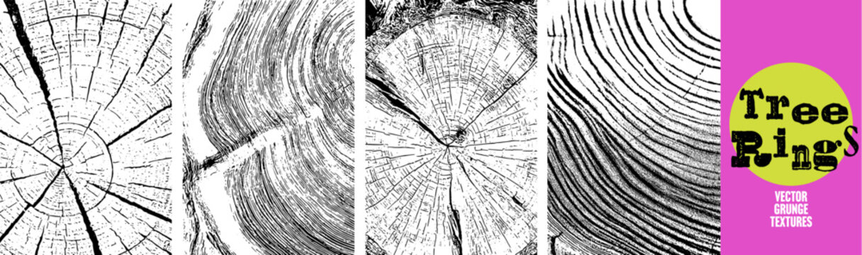 Close up tree ring vector grunge textures, four cracked wood end grain overlays in black and white. Radial crack and growth ring pattern backgrounds