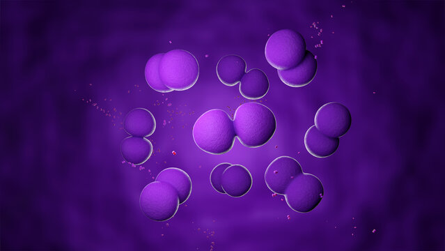 Pneumococcus or diplococcus bacteria cells under microscope. 3D Rendering