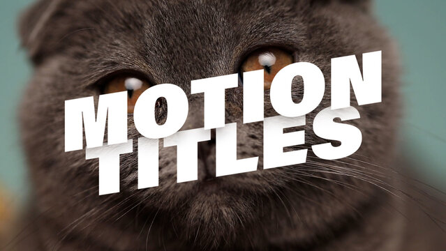 Motion Titles