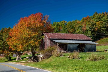 fall foliage against a barn © mark