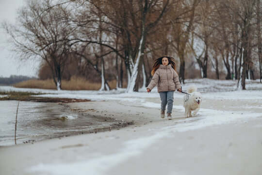 A girl walks with her beloved pet Samoyed in winter on the shore of a lake in the park.