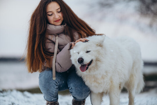 A girl walks with her beloved pet Samoyed in winter on the shore of a lake in the park.