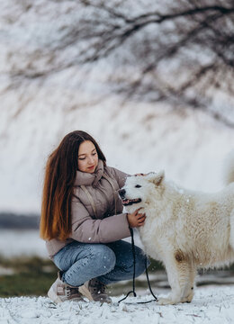 A girl walks with her beloved pet Samoyed in winter on the shore of a lake in the park.