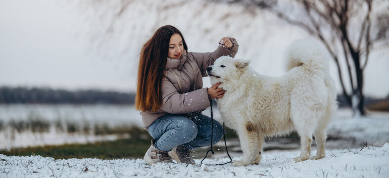 A girl walks with her beloved pet Samoyed in winter on the shore of a lake in the park.