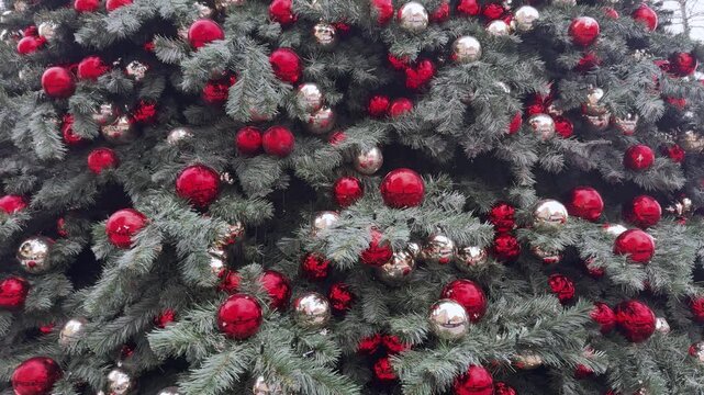 Christmas Tree Decorated With Red And Silver Balls In Roermond