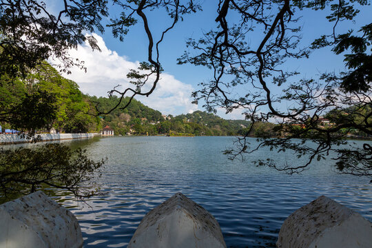 Calm lake framed by tree branches with green hills behind, Central Province, Kandy, Sri Lanka