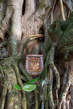 Small plaque of Krishna playing flute with Radha placed among banyan tree roots, Southern Province, Galle, Sri Lanka