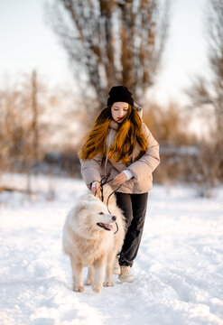 A girl walks with her beloved pet Samoyed in winter on the shore of a lake in the park.