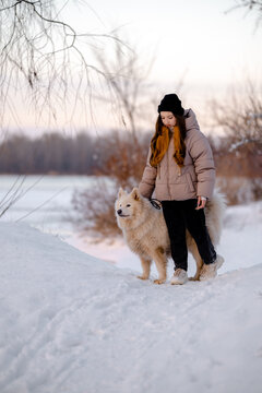A girl walks with her beloved pet Samoyed in winter on the shore of a lake in the park.