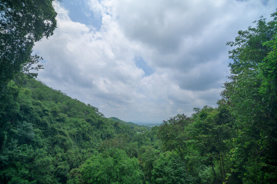 Scenic View of Lush Green Jungle Behind Gorge in Thailand