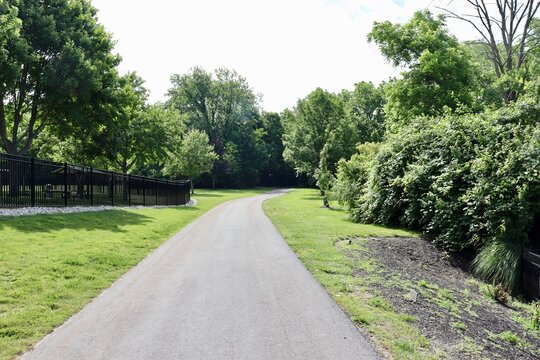 The long pathway in the park on a sunny day.