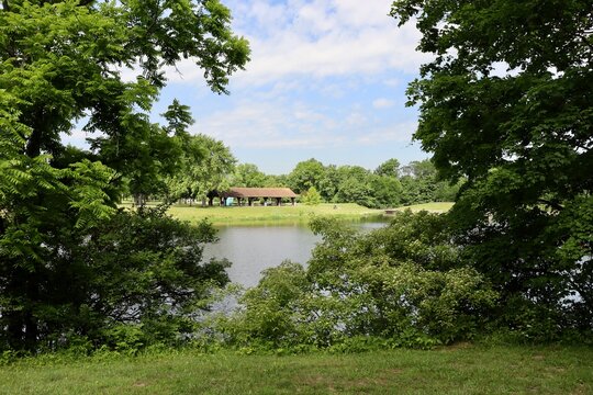 The peaceful lake in the park on a sunny day.