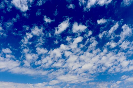 The white clouds in the blue sky.