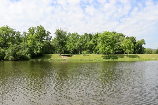 The pond in the park on a sunny day.