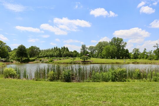 The peaceful pond in the country on a sunny day.