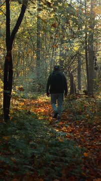 autumn in the park