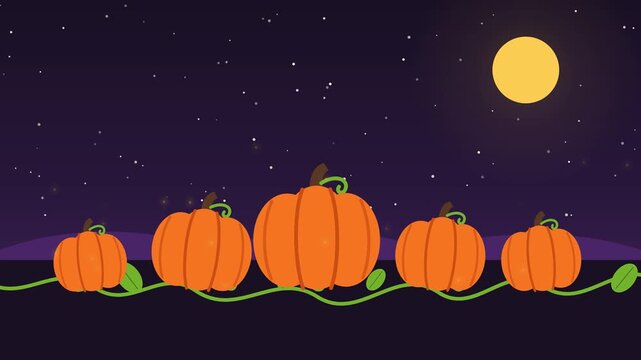 Pumpkins growing one by one in a moonlit pumpkin patch with fireflies, flat Halloween animation