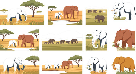 African Elephant Wildlife Vector Collection Featuring Elephant Families, Savannah Grasslands, Acacia Trees and Minimal Safari Landscape IllustrationsLegal Protection  © SAZIB