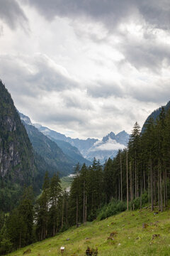 View of Konigssee surrounded by dense coniferous forests, lush green meadows, and dramatic mountain peaks under a cloudy sky in Schonau am Konigssee, Bavaria, Germany.