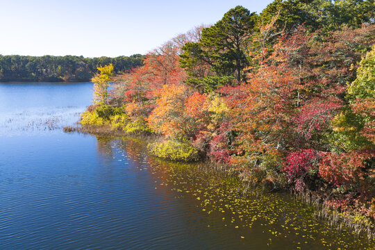 Colorful autumn foliage is found fringing Pilgrim Lake in Orleans, Massachusetts. This scenic destination is on the outer part of Cape Cod, not far from the Atlantic Ocean.