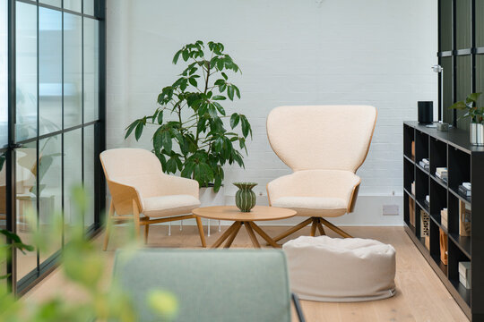 View of a modern office interior with two cream-colored armchairs, a wooden coffee table, a green vase, a large potted plant, and a black bookshelf in London, United Kingdom.